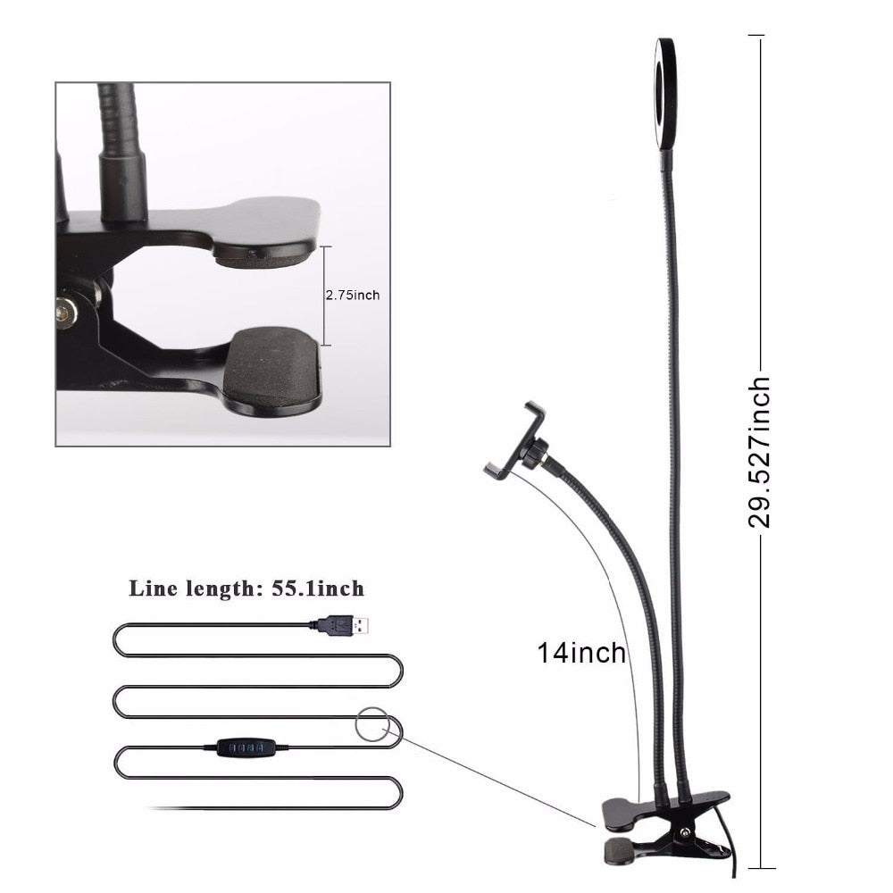 Lightshot tragbarer Studio Kit